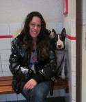 Levi,bull terrier teef van 2 jr, zit ook op de bank in de wachtkamer voordat ze naar binnen mag:het is best wel eng!